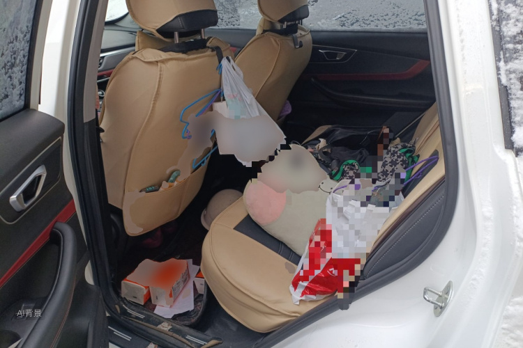 Chery Tiggo 7 2020 car image #19