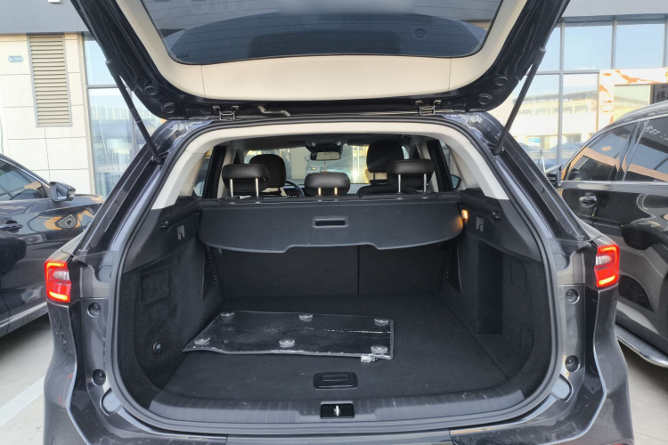 Exceed TX 2023 #19 Exceed TX 2023 car image #19