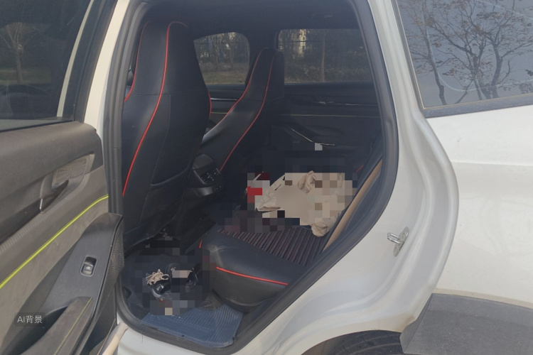 Haval H6S 2022 car image #19