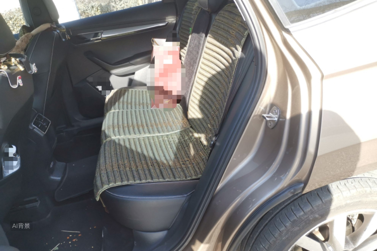 Skoda Karoq 2019 car image #19