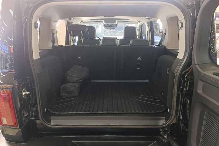 Tank 300 New Energy 2025 imagem de carro #19