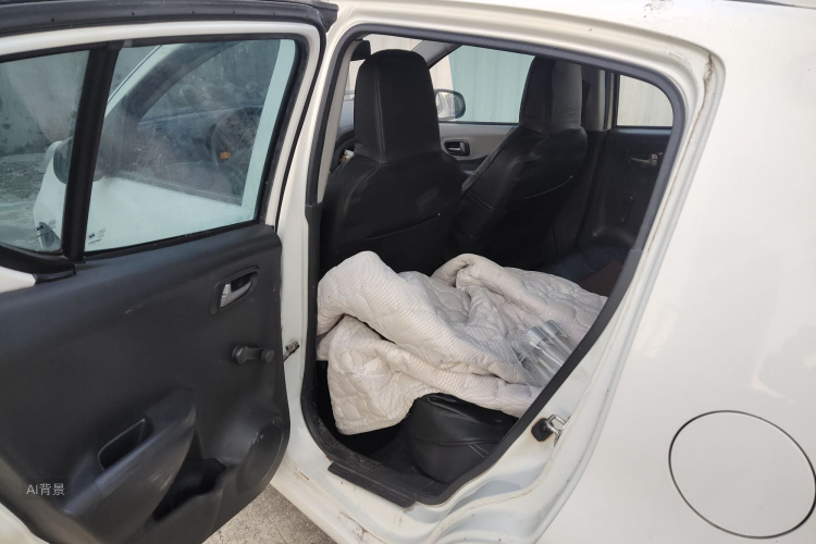 Suzuki Alto 2016 car image #19