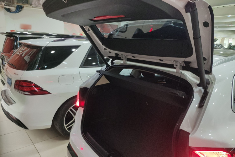 BMW X1 2024 imagem de carro #19