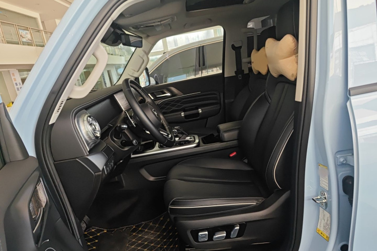 Tank 300 New Energy 2024 car image #19