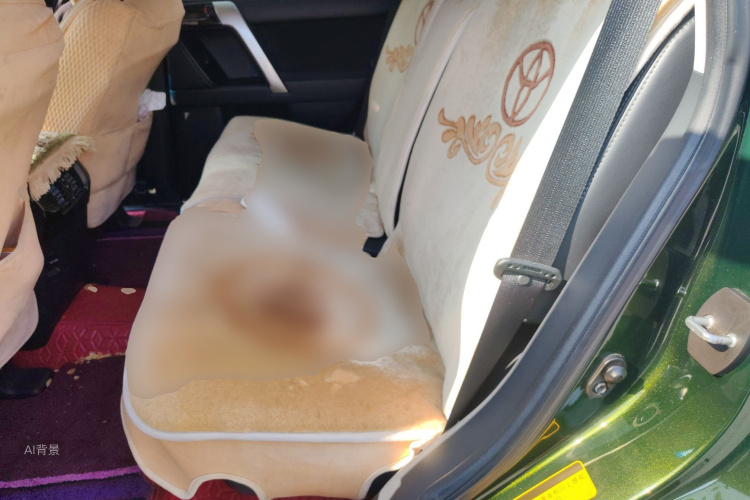 Toyota Land Cruiser Prado 2017 #19 Toyota Land Cruiser Prado 2017 immagine di auto #19