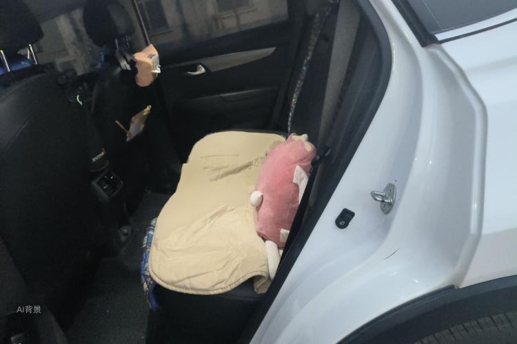 起亚 智跑 2018 汽车图片 #19