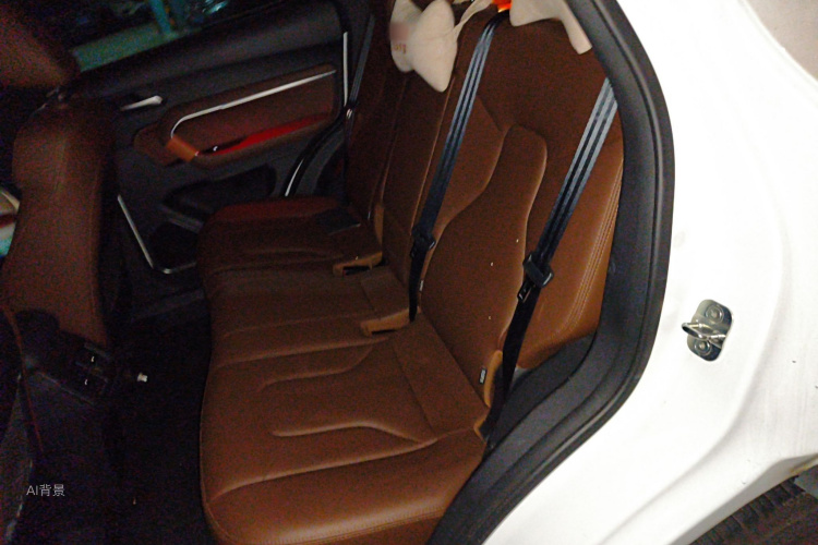 Haval H6 2017 car image #19