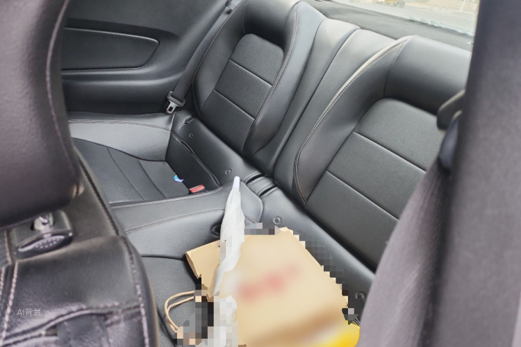 Ford Mustang 2017 car image #19