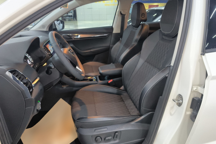 Skoda Karoq 2020 car image #19