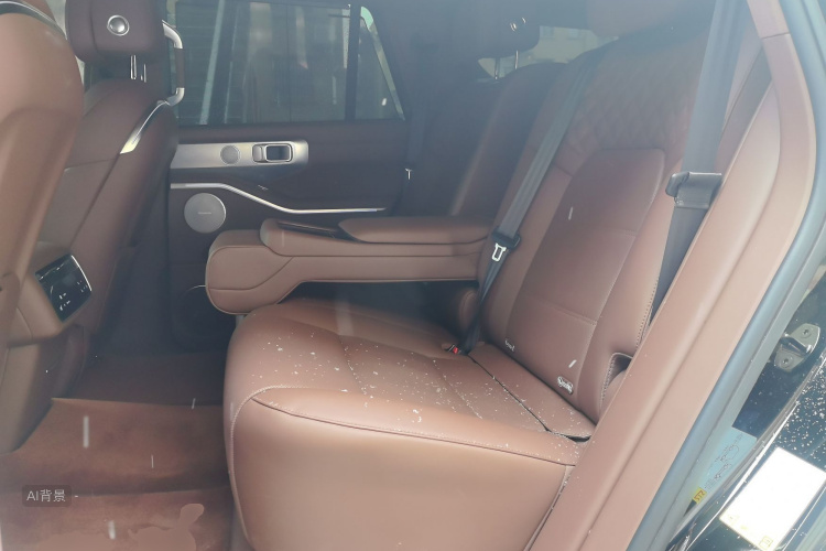 Tank 700 New Energy 2025 #19 Tank 700 New Energy 2025 car image #19