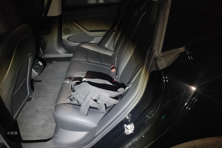Tesla Model 3 2021 car image #19