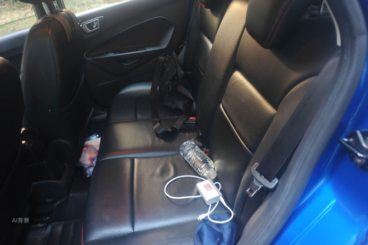 Ford Fiesta 2014 car image #19