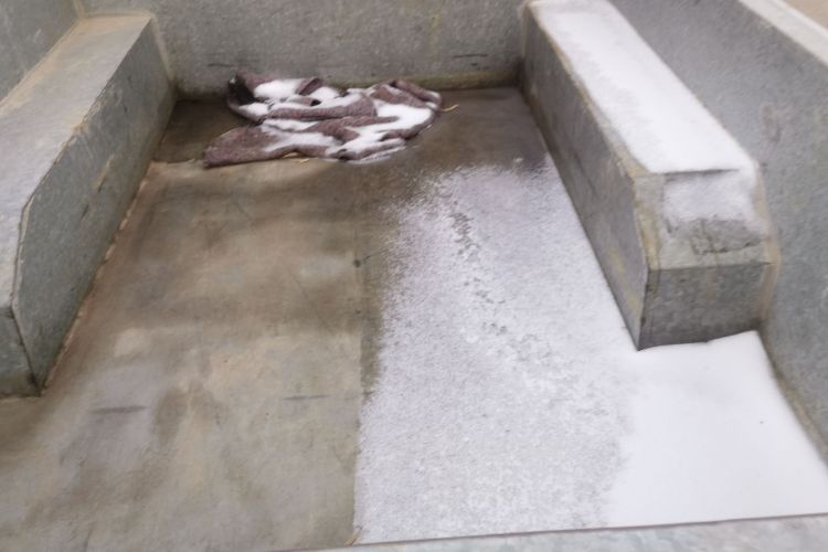 Great Wall Wingle 5 2018 car image #19