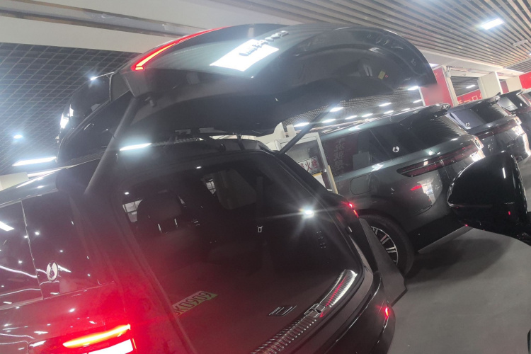 Denza N9 2025 immagine di auto #19