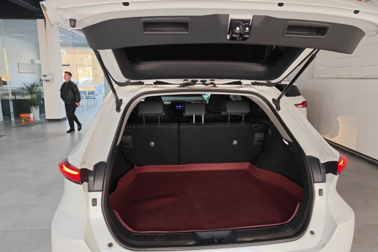 Toyota Venza 2023 immagine di auto #19