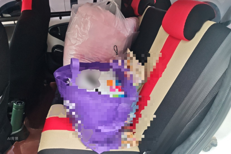 BYD F0 2017 car image #19