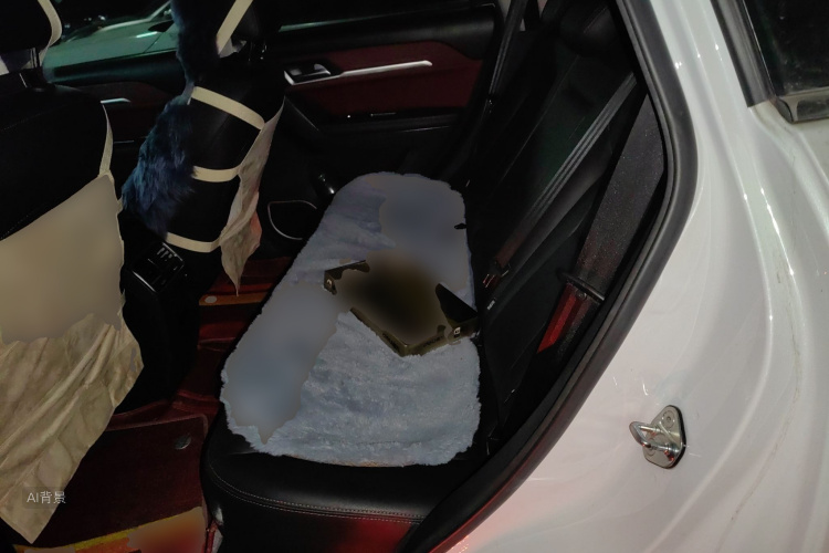 Haval H6 Coupe 2018 car image #19