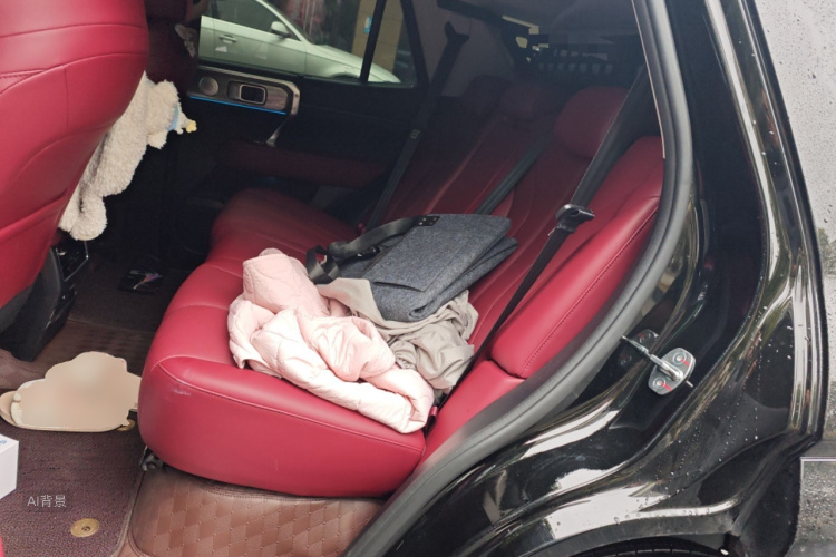 Tank 400 New Energy 2024 car image #19