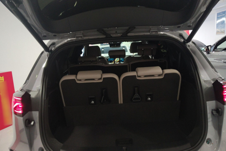 BYD Tang New Energy 2024 car image #19
