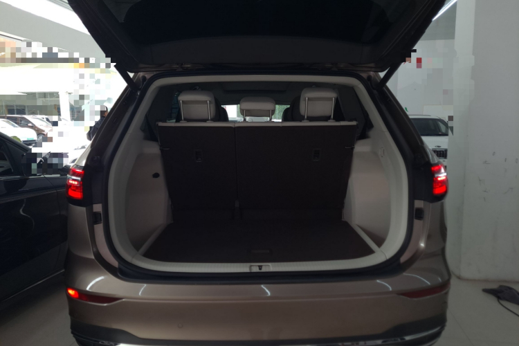 Volkswagen Viloran 2020 car image #19