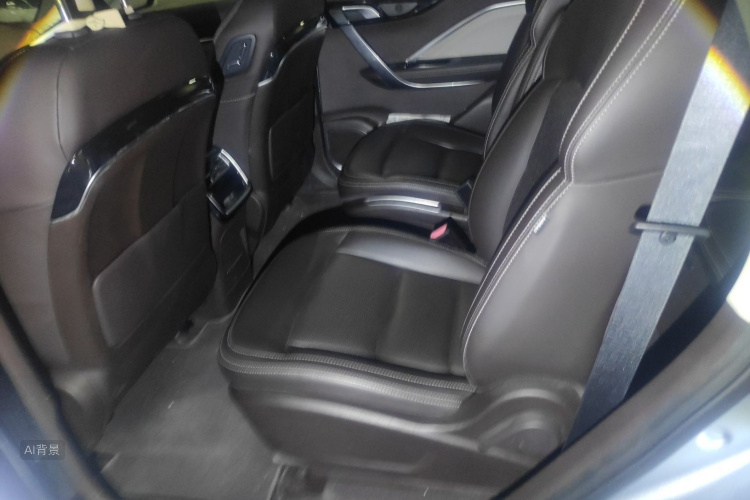 GEELY JiaJi New Energy 2019 immagine di auto #19