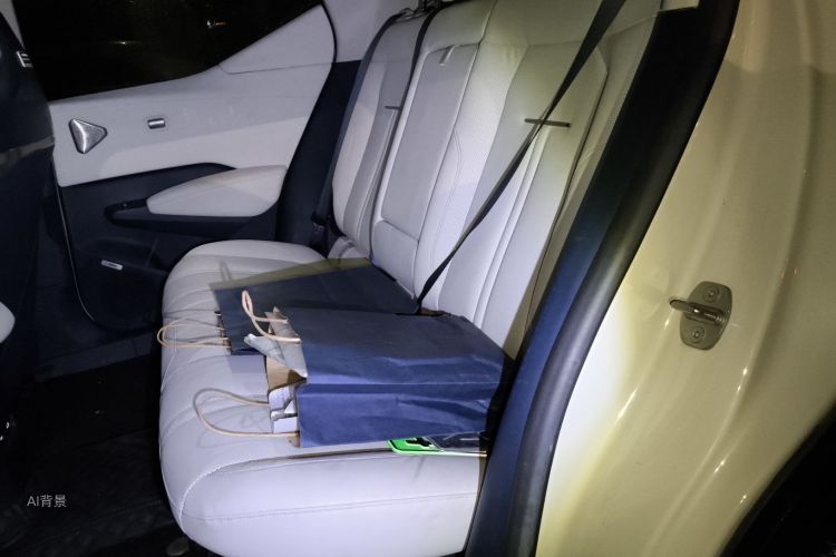 极氪 极氪X 2023 汽车图片 #19