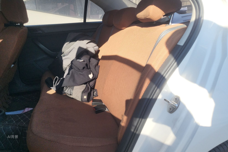 桑塔纳 2019 汽车图片 #19