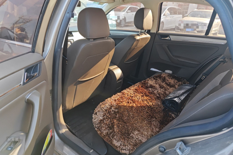 Volkswagen Bora 2015 immagine di auto #19