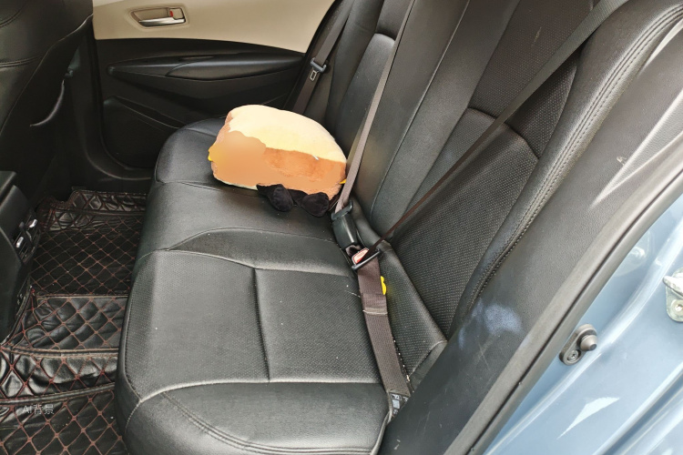 丰田 卡罗拉 2020 汽车图片 #19