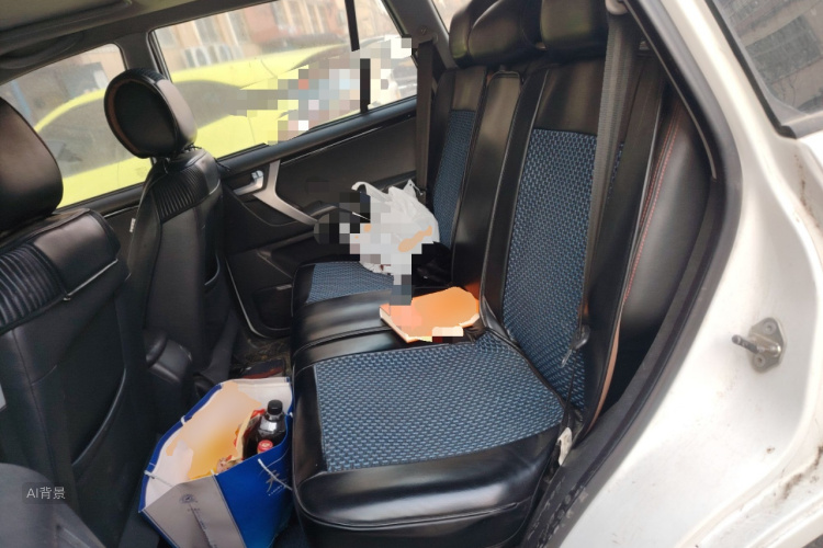 Chery Tiggo 3 2017 car image #19