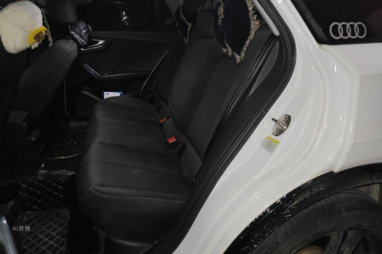 奥迪Q2L 2019 汽车图片 #19