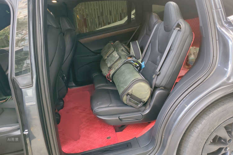 特斯拉 Model X 2019 汽车图片 #19