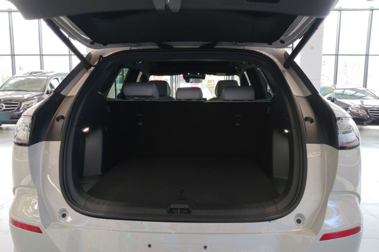 BYD Sea Lion 06 New Energy 2025 car image #19