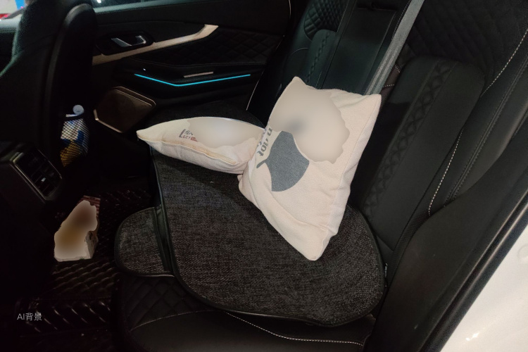 Exceed Lingyun 2021 car image #19