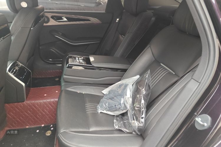 HongQi H9 2021 car image #19