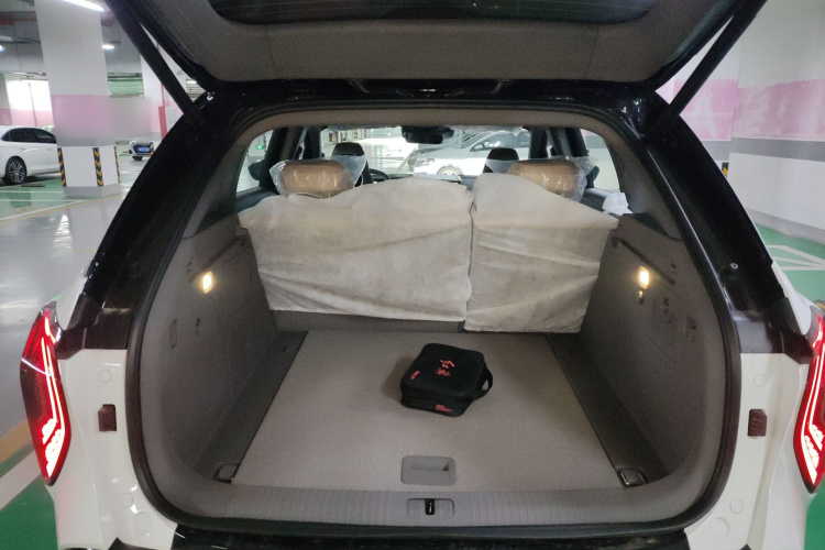 HongQi TianGong 08 2025 car image #19