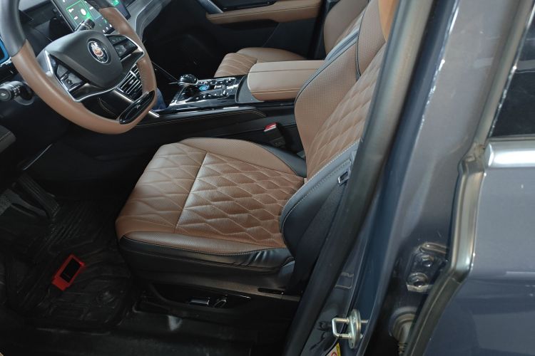 BYD Tang New Energy 2022 car image #19