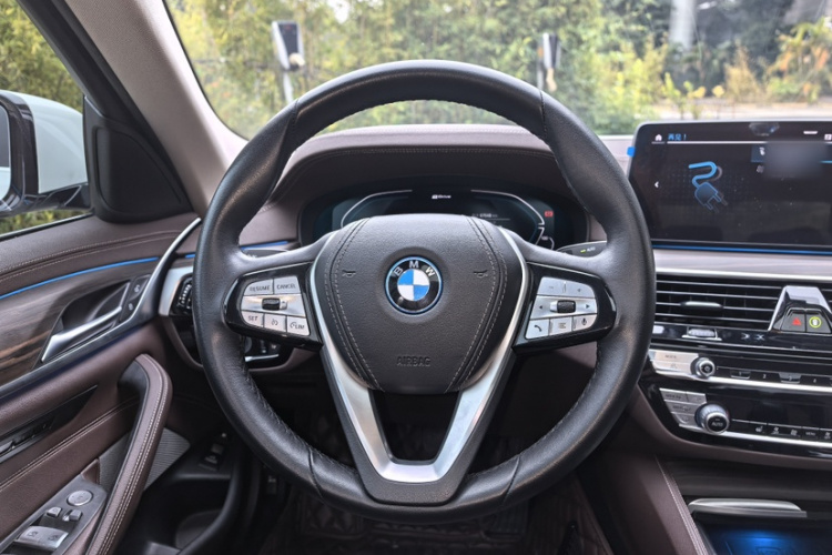 BMW 5 Series New Energy 2021 car image #19