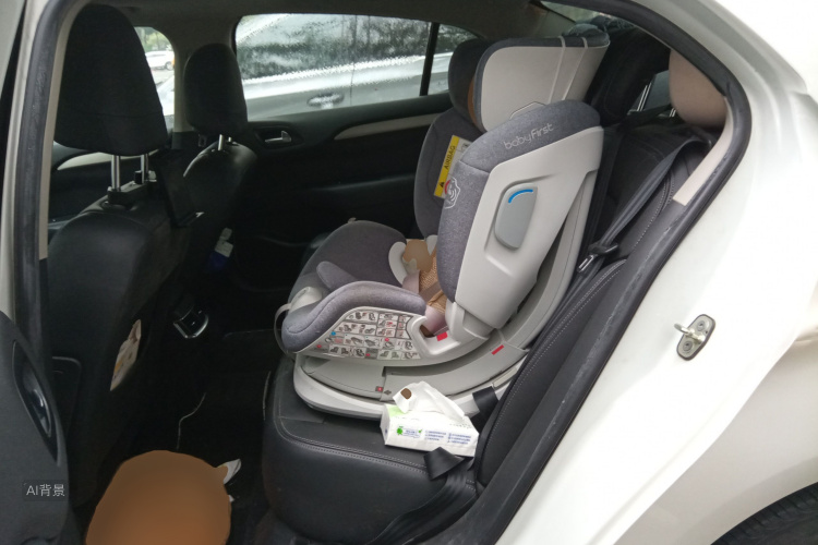 Citroen C4L 2016 car image #19