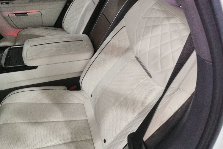 HongQi E-HS9 2023 car image #19