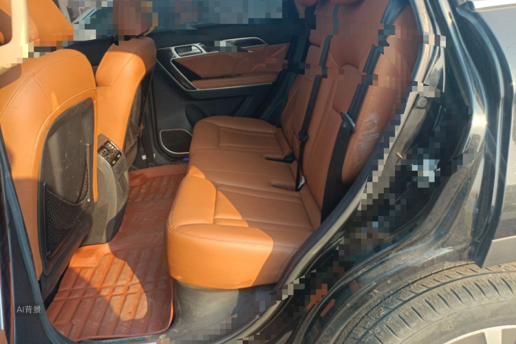 Haval H6 Coupe 2015 car image #19