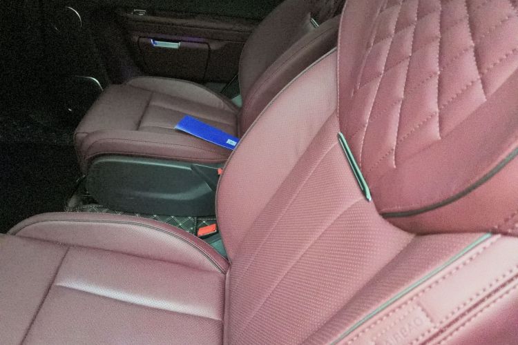 HongQi E-HS9 2023 imagem de carro #19