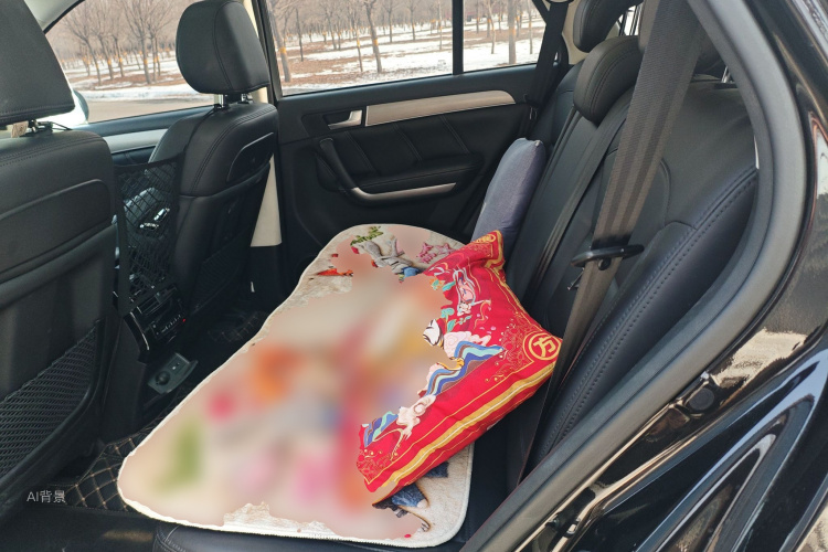 Haval H8 2017 car image #19