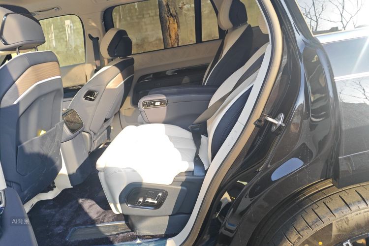 Zeekr 9X 2025 car image #19