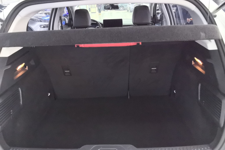 Ford Focus Active 2020 car image #19