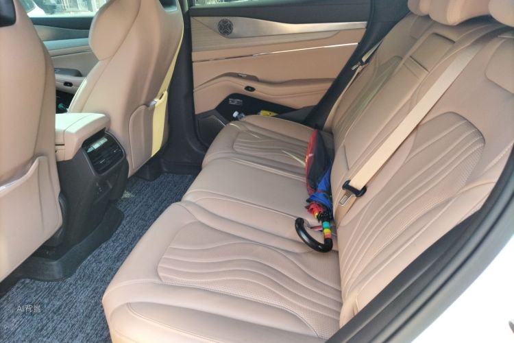 Denza N7 2023 car image #19