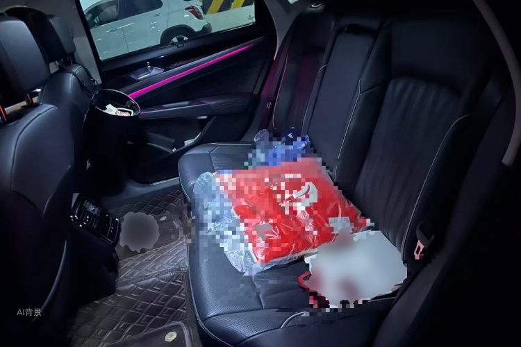 Volkswagen Passat New Energy 2023 #19 Volkswagen Passat New Energy 2023 صورة سيارة #19