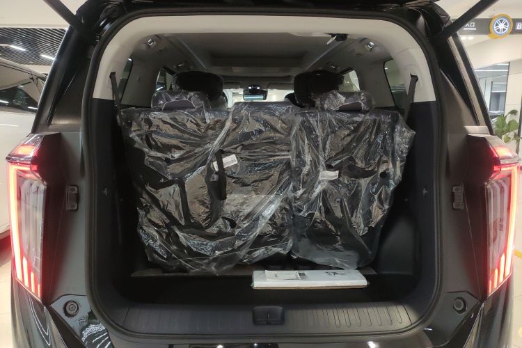 GAC Trumpchi Xiangwang M8 2025 car image #19