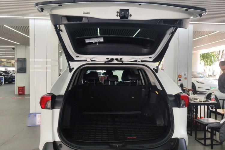 丰田 RAV4荣放 2020 汽车图片 #19