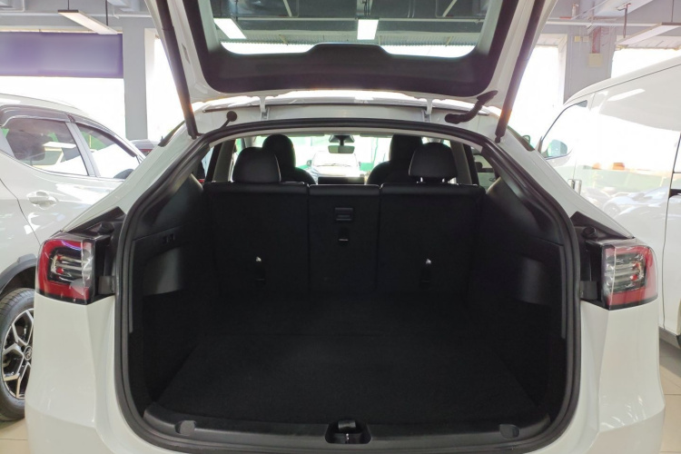 Tesla Model Y 2021 car image #19